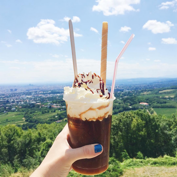 Vienna hotspots kahlenberg