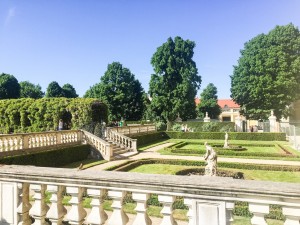 Schönbrunn Garden